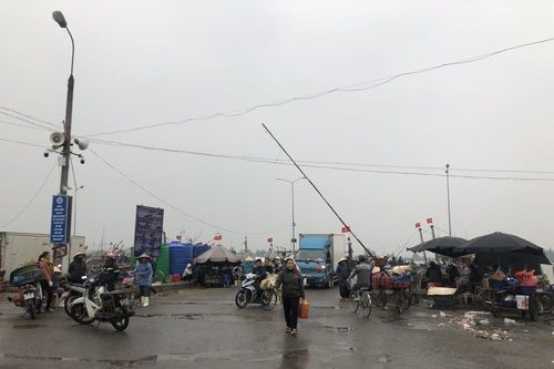 Du khách được tắm biển Sầm Sơn từ hôm nay