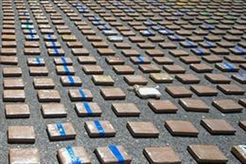 Hà Lan phát hiện 4,5 tấn cocaine trong lô hàng chuối từ Costa Rica