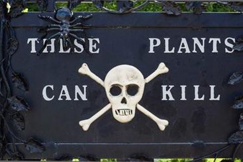 Rùng mình khi đến thăm khu vườn 'sờ vào đâu cũng chết'