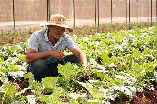 Nông nghiệp sạch 'Chìa khóa' cạnh tranh