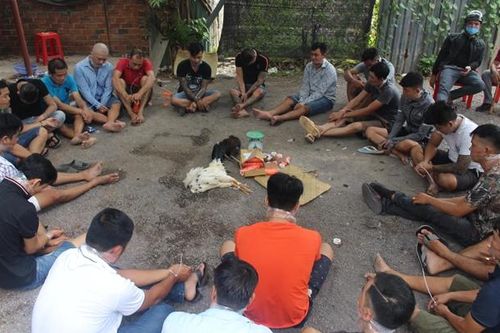 Hơn 20 đối tượng có 'số má' tổ chức đá gà gần nghĩa trang