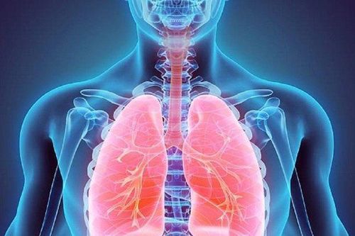 Con người sống thế nào nếu thiếu một lá phổi?