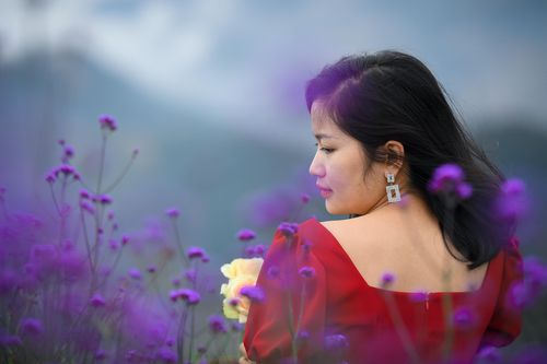 Vẻ thơ mộng của vườn hoa tím ở Sa Pa