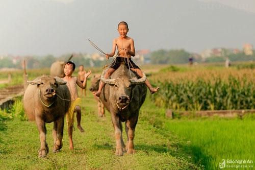 Cùng khám phá những sân chơi 'đặc biệt' của con trẻ ở vùng quê nông thôn