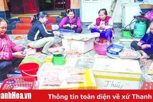 Bảo vệ môi trường – nhìn từ các cơ sở chế biến hải sản xã Ngư Lộc