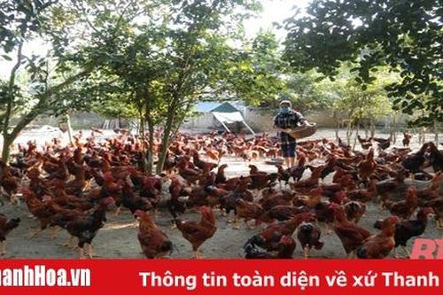 Hội LHPN xã Hoàng Giang hỗ trợ hội viên phát triển kinh tế