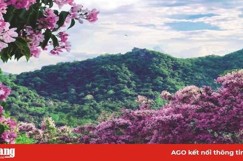 Khúc giao mùa Bảy Núi!