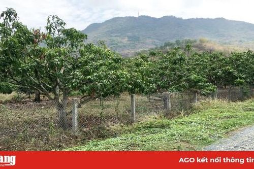 Đổi thay ở một vùng đất khó khăn