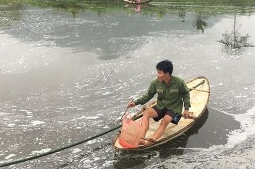 Công ty Thuận Phát tạm dừng hoạt động xả thải