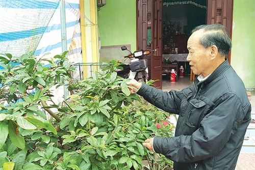 Cựu binh Trần Thanh Tiêm và 'báu vật' trong thùng đạn