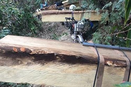 Kon Tum chỉ đạo 'khẩn' điều tra, xác minh phản ánh phá rừng quy mô lớn