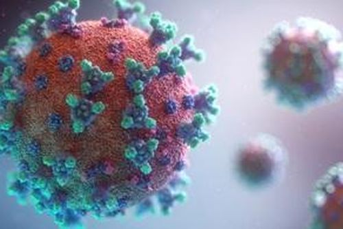 Thử nghiệm virus biến đổi gene ngăn chặn lây nhiễm Coronavirus