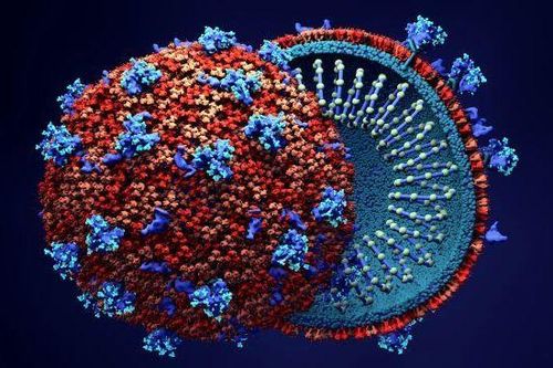 WHO khẳng định SARS-CoV-2 có nguồn gốc tự nhiên, Thủ tướng Australia nói 'không thể loại trừ bất cứ điều gì'