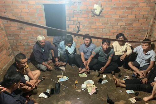 Đắk Lắk: Bắt nhóm người tổ chức đánh bạc trong rẫy vắng