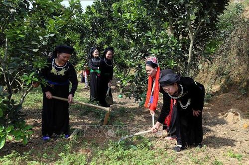 Người 25 năm hết mình với công tác y tế và dân số thôn bản