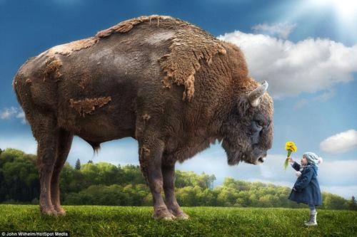Ảnh đẹp: Thế giới động vật qua Photoshop