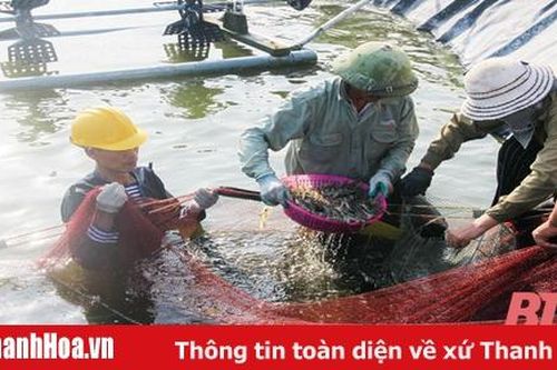 Để đất 'chuyển mình'