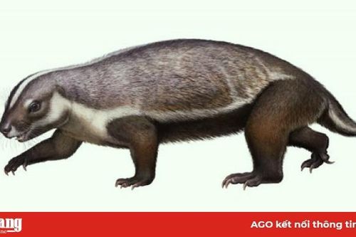 'Xác ướp đá' của sinh vật dị hình từ siêu lục địa đã biến mất
