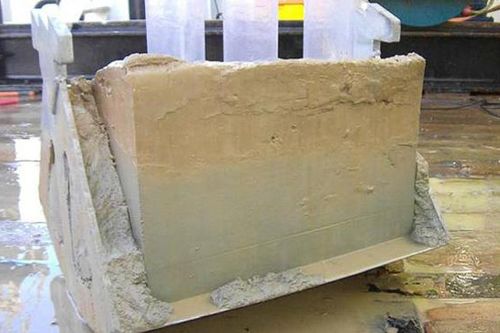 Phát hiện gây sốc ở nơi sâu nhất đại dương