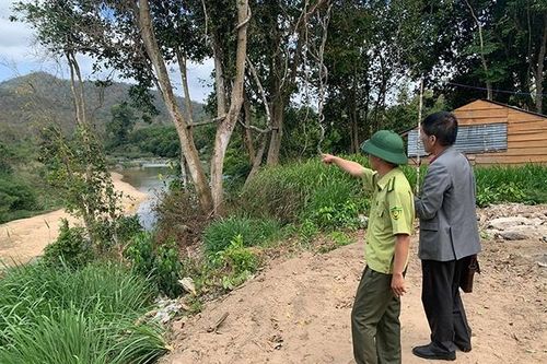 Rừng bảo tồn Ea Sô trước áp lực bị tàn phá