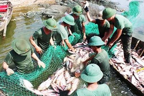 Hiệu quả mô hình nuôi trồng thủy sản ở cơ quan quân sự địa phương