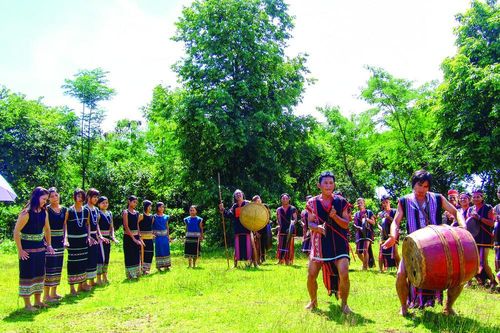 Nhạc tre đi... Tây