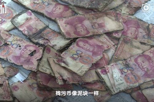 Chôn tiền xuống đất, ông lão cay đắng mất hơn tỷ đồng