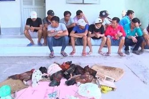 Triệt phá sới bạc tài xỉu, đá gà hàng trăm người tham dự