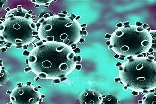 Roche được Mỹ cấp phép xét nghiệm kháng thể trong máu xác định COVID-19