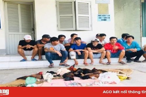 Triệt xóa ổ cờ bạc khu vực giáp ranh