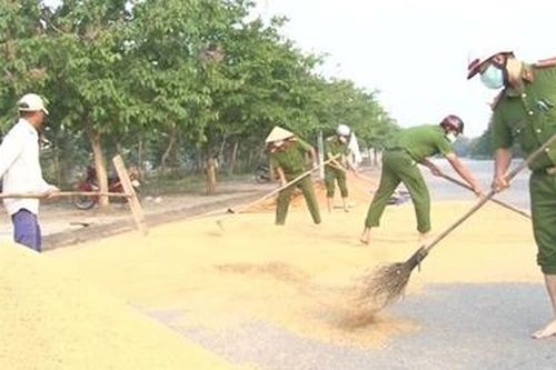 Công an TP Huế giúp nông dân phơi lúa an toàn