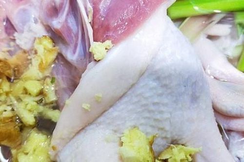 Nấu bún ngan kiểu Hải Phòng chuẩn ngon với công thức đơn giản ai cũng làm được