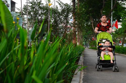 Đường đi bộ tràn cây xanh mới xuất hiện ở Hà Nội