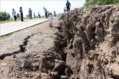 Báo động sụt lún nghiêm trọng đê biển Tây Cà Mau