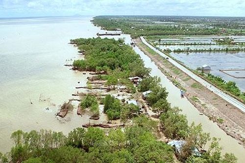 Khe nứt kéo dài trên đê biển Tây Cà Mau