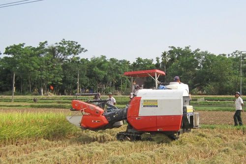 Xã Thanh Liên (Thanh Chương) phấn đấu đạt nông thôn mới kiểu mẫu