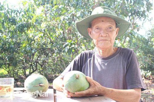 Đảng viên lão thành liêm chính, mẫu mực