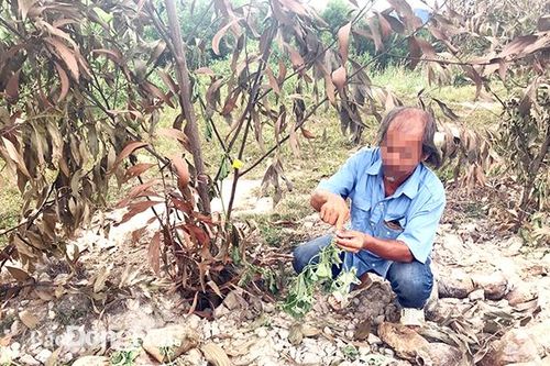 Đe dọa, xúc phạm người khác là vi phạm pháp luật