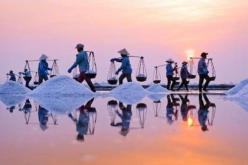 Phân tích hiệu quả tài chính của diêm hộ sản xuất muối ở tỉnh Bạc Liêu