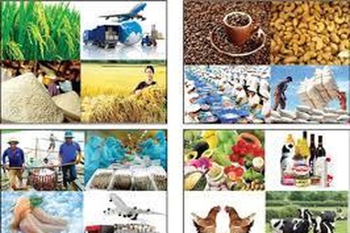 Nông sản xuất siêu gần 2,8 tỷ USD