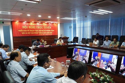 Cà Mau triển khai họp trực tuyến phòng, chống dịch