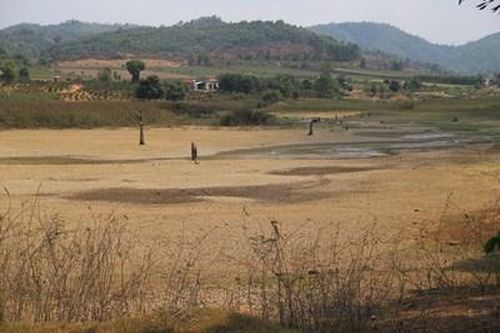 Cần tìm kiếm những giải pháp lâu dài