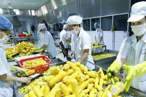 Việt Nam thuộc nhóm nền kinh tế an toàn sau đại dịch Covid-19