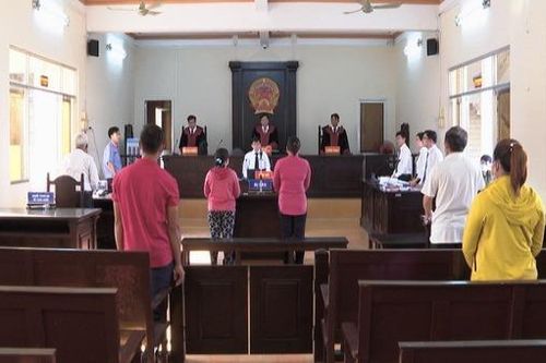 Bạc Liêu: Vụ án 'Lừa đảo chiếm đoạt tài sản' phức tạp bị hủy sơ thẩm, trả hồ sơ điều tra lại