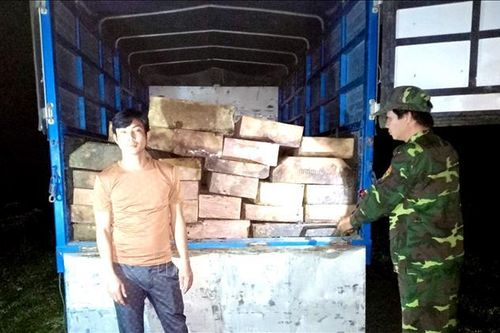 Tạm giữ xe tải vận chuyển gỗ trái phép