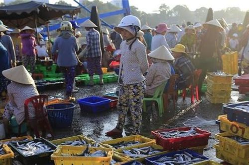 Tập trung phát tiền hỗ trợ cho lao động tự do mất việc từ ngày 10/5