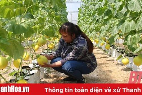 Khó khăn trong việc đầu tư vào nông nghiệp ứng dụng công nghệ cao