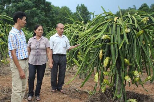 Phụ nữ Bảo Thắng hỗ trợ nhau phát triển kinh tế