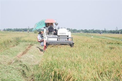 Quyết tâm xây dựng xã Gio Quang ngày càng văn minh, giàu đẹp