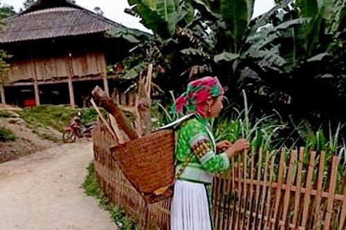 'Lù cở' của người Mông